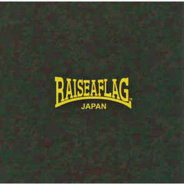 Raise a Flag Photo