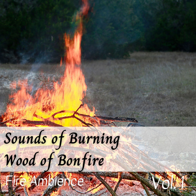 Fire Ambience: Sounds of Burning Wood of Bonfire Vol. 1 cover art