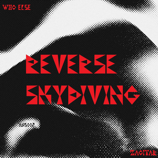 Reverse Skydiving cover art
