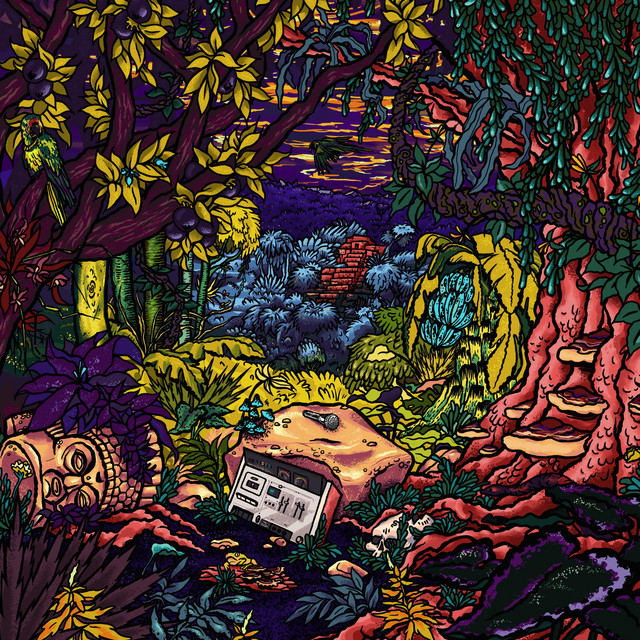Illusion cover art