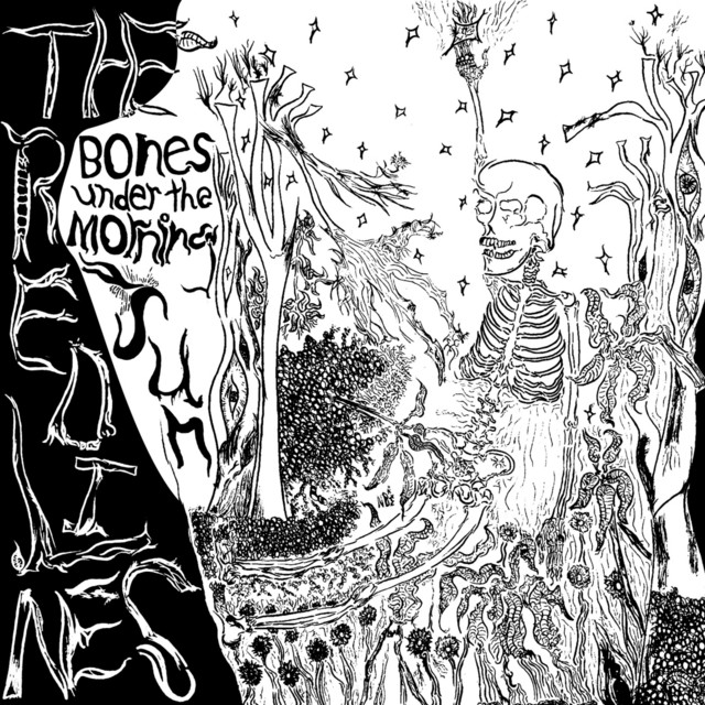 Bones Under the Morning Sun cover