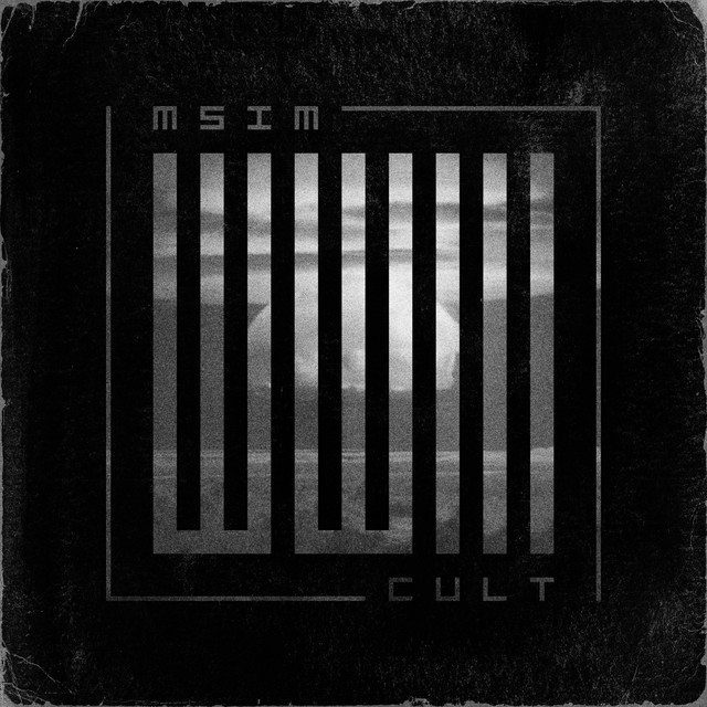 Обкладинка: WWIIICULT — My Skin Is Multicam