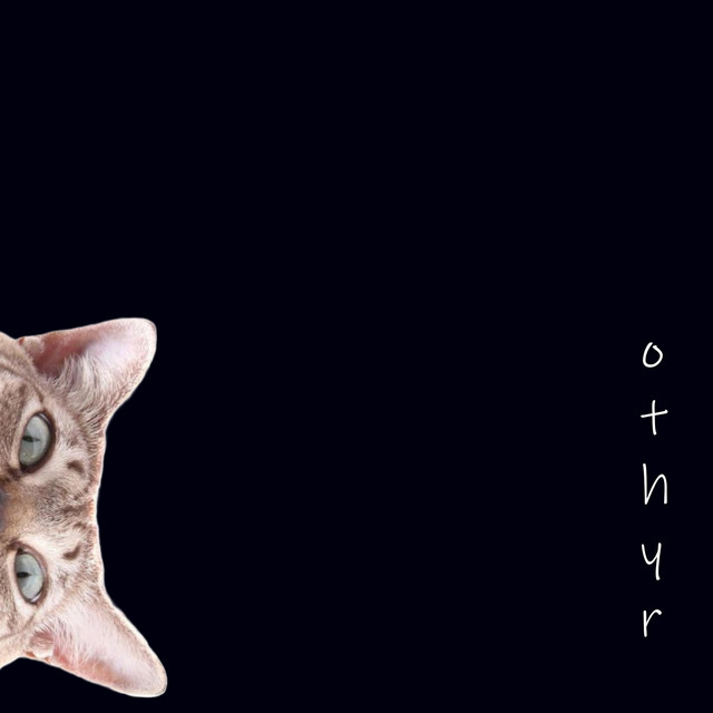 Stay cover