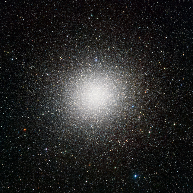 Cover du titre Immensità