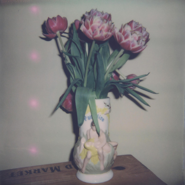 as if cover art