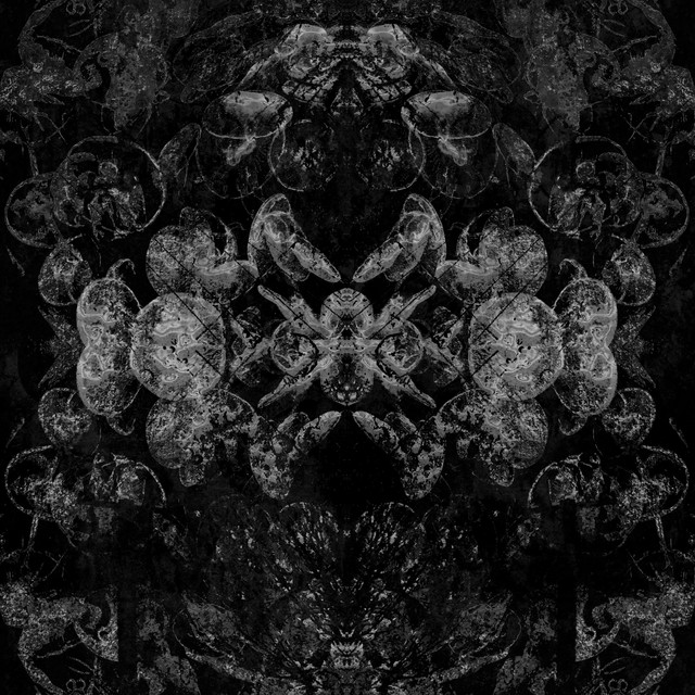 Galleria cover art