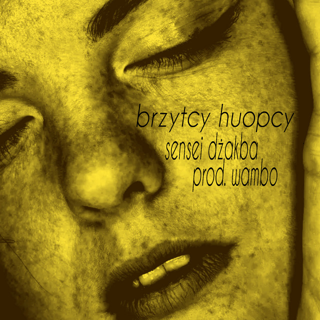 Brzytcy Huopcy cover art