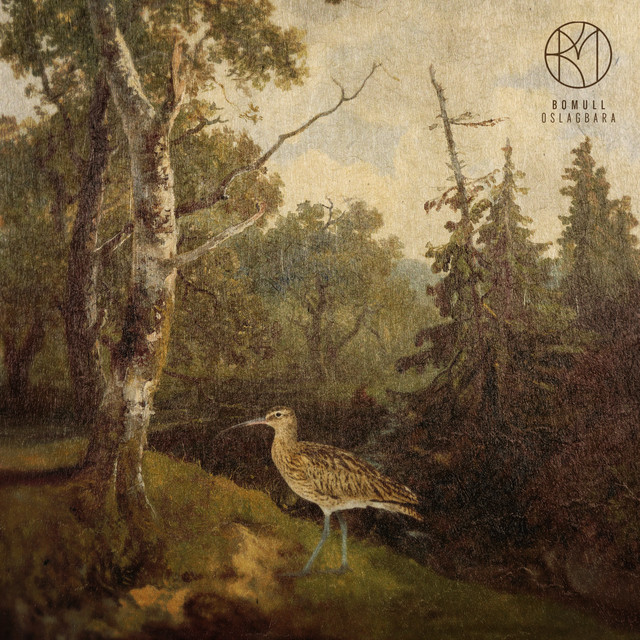 oslagbara cover