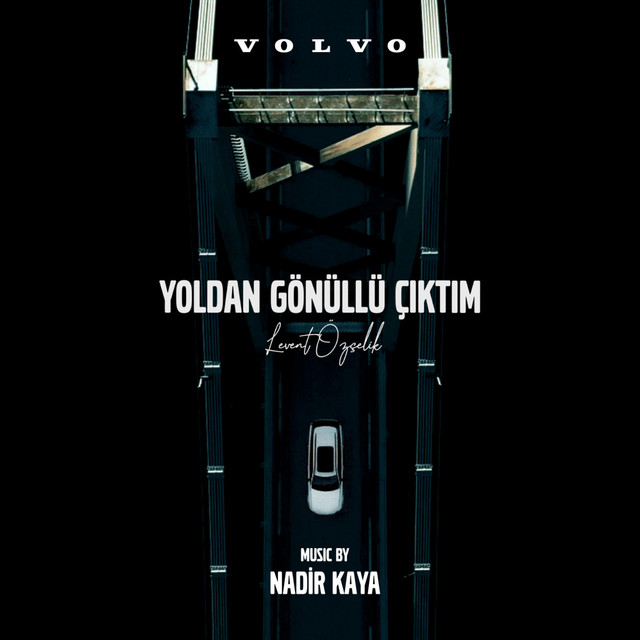 Yoldan Gönüllü Çıktım (Original Documentary Soundtrack) cover art