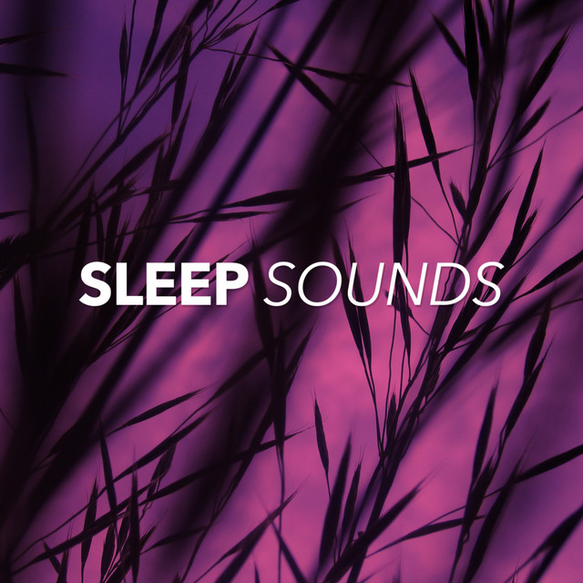 Sleep Sounds - Album by Sleep Sounds of Nature | Spotify