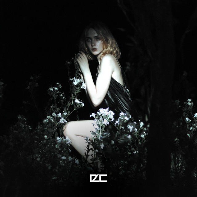 Обкладинка Envacity — restrained