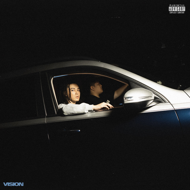 Vision cover art