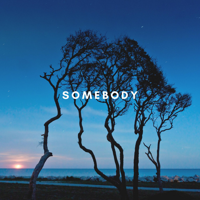 Somebody cover art