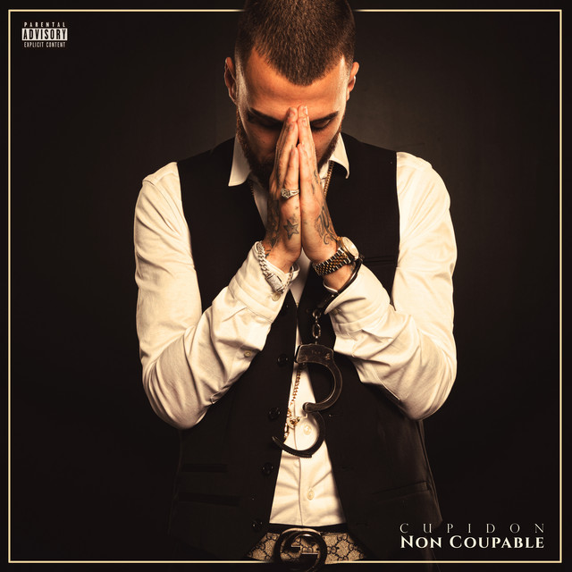 Non coupable cover art