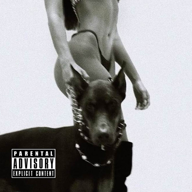 undefined album image