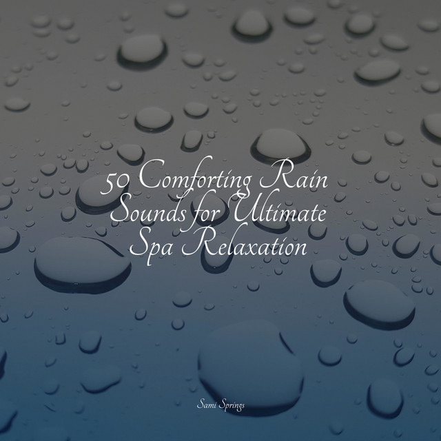 50 Sounds of Rain and Nature for Sleep - Album by Wave Sound Group ...