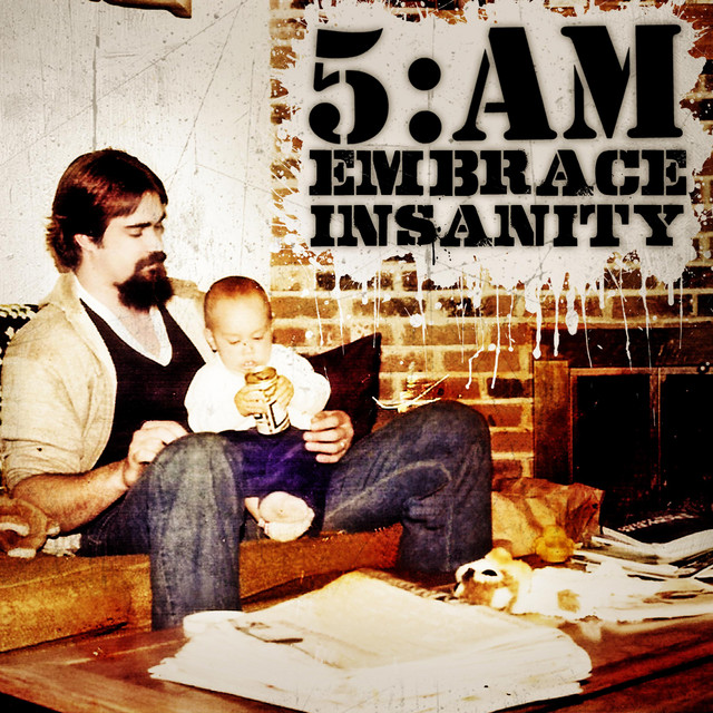 Embrace Insanity cover art