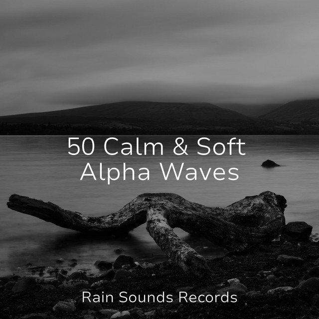 50 Calm & Soft Alpha Waves - Album by Calming Sounds | Spotify