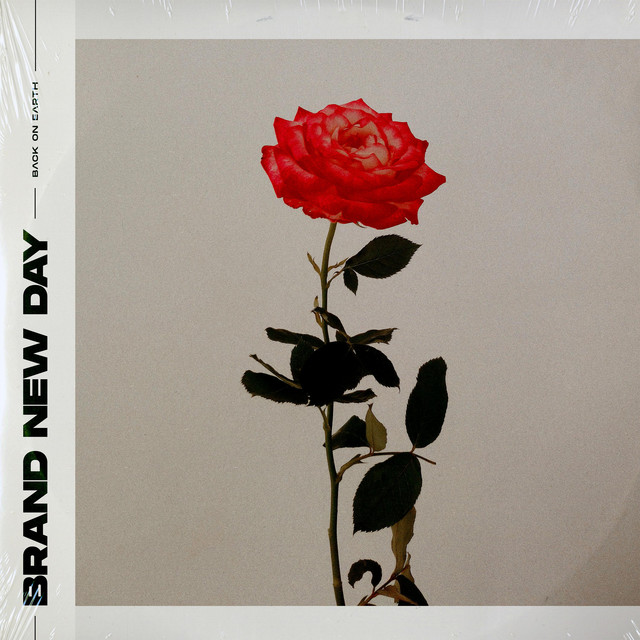 Brand New Day cover
