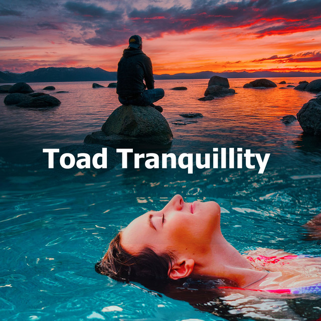 Toad Tranquillity - Album by Spa Relaxation | Spotify