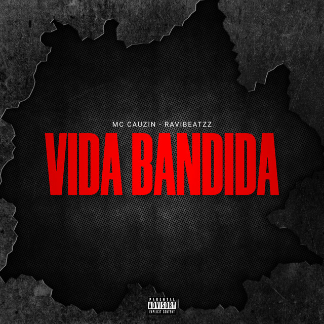 Vida Bandida