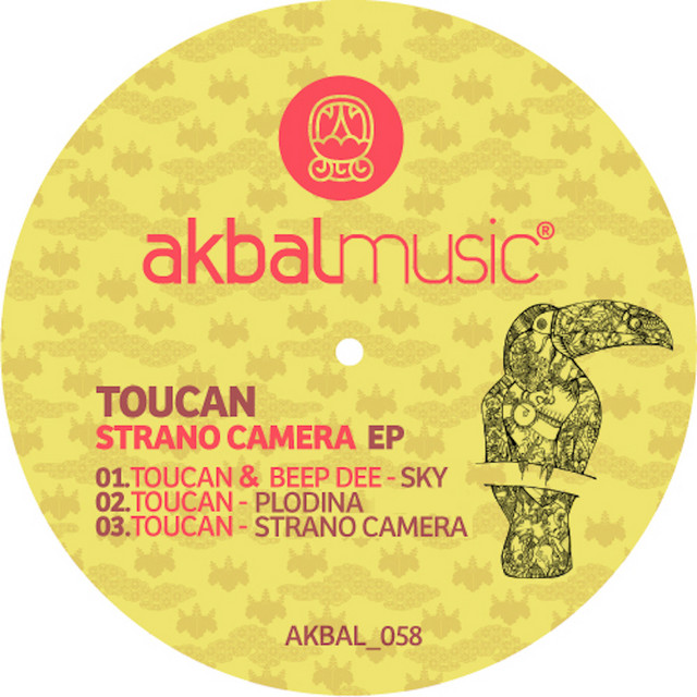 Strano camera cover