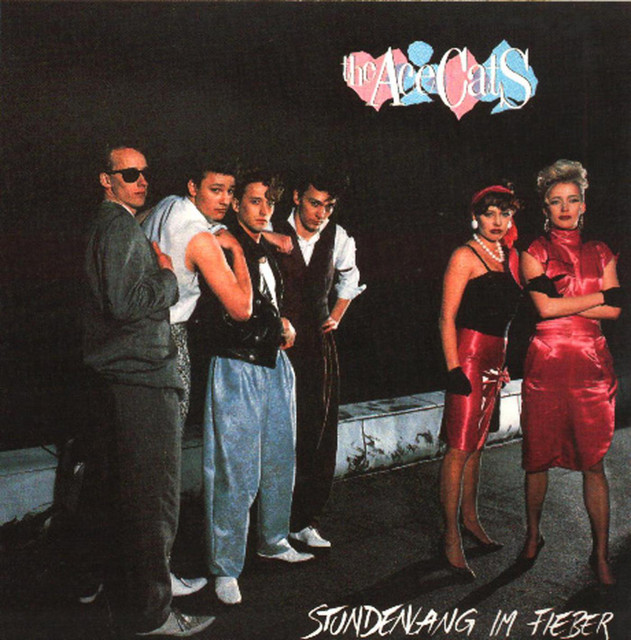 Stundenlang im Fieber cover art