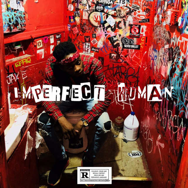 Imperfect Human cover art