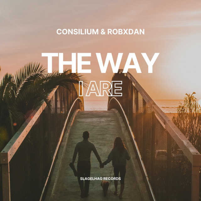 Consilium & RobxDan - The Way I Are (Techno Remix)
