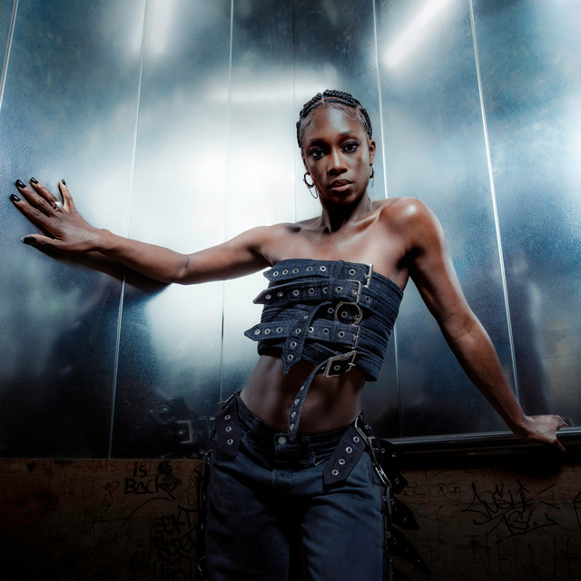 Cover du titre Tout Schuss