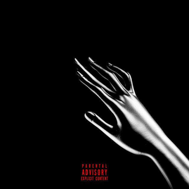 IDOLS cover art