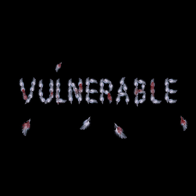 VULNERABLE cover art