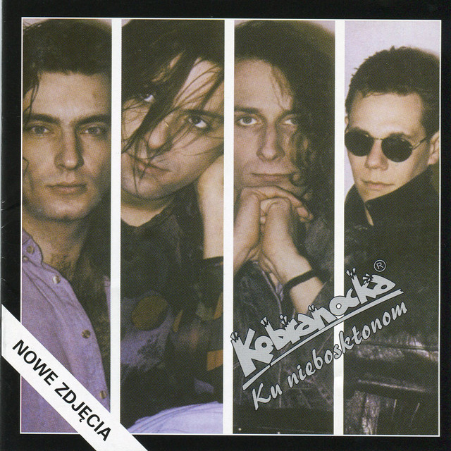 Ku nieboskłonom cover art