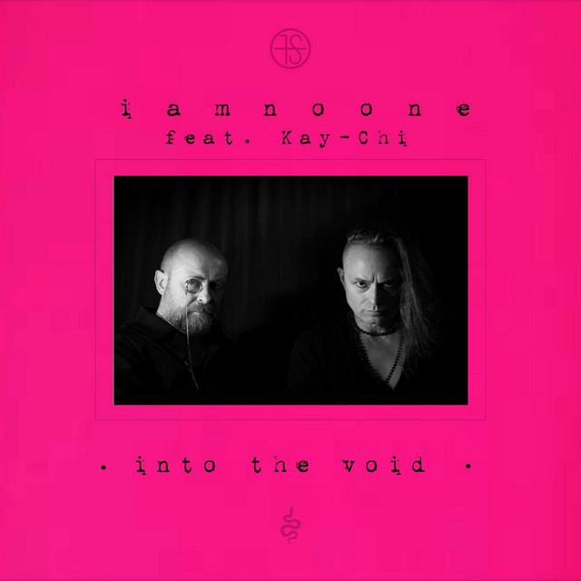 Cover du titre into the void