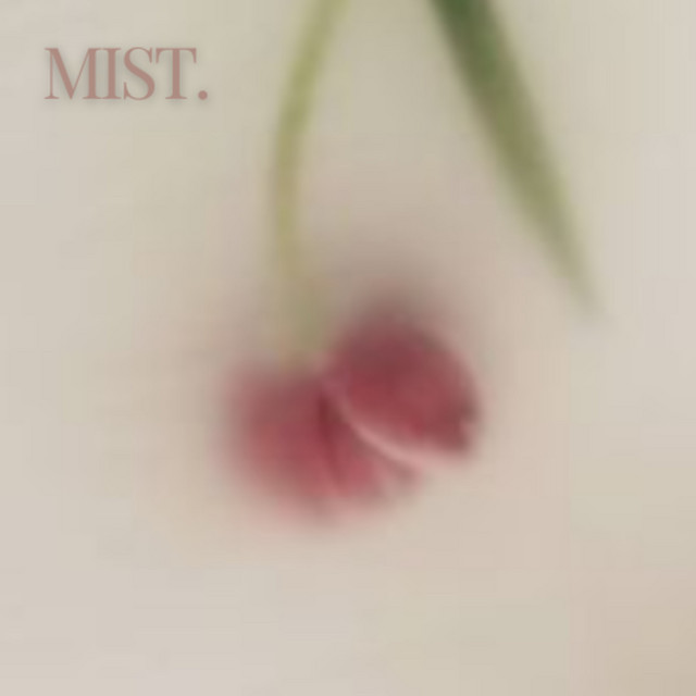 Mist cover art