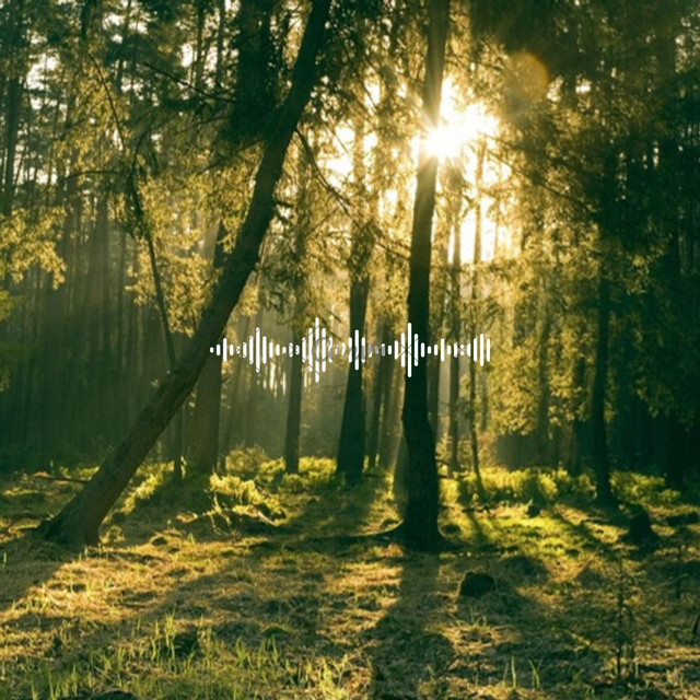 Lucia (White Noise/Rain Sounds Piano Music)
