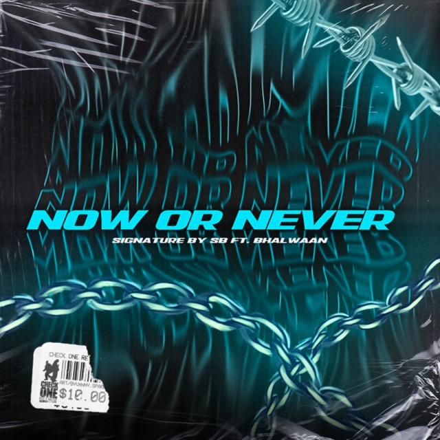 Now or Never by Bhalwaan