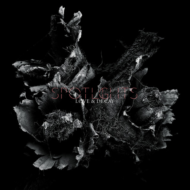 Love & Decay cover art