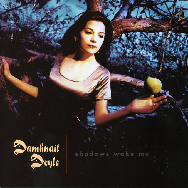 Shadows Wake Me cover art