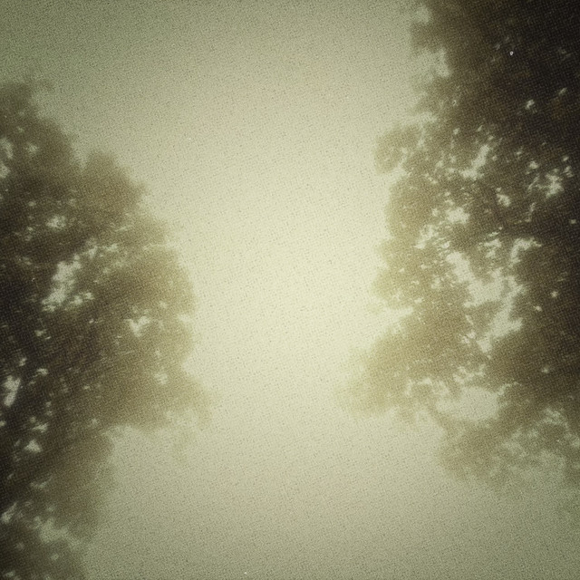 The Trail cover
