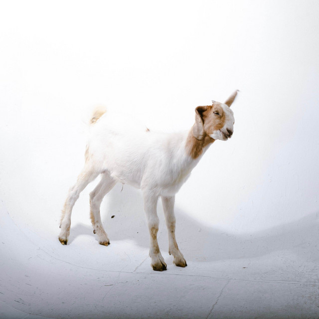 UNDERGOUND/ EU NEM SONHAVA/ ROBIN HOOD. GOATSTAR VOL.1