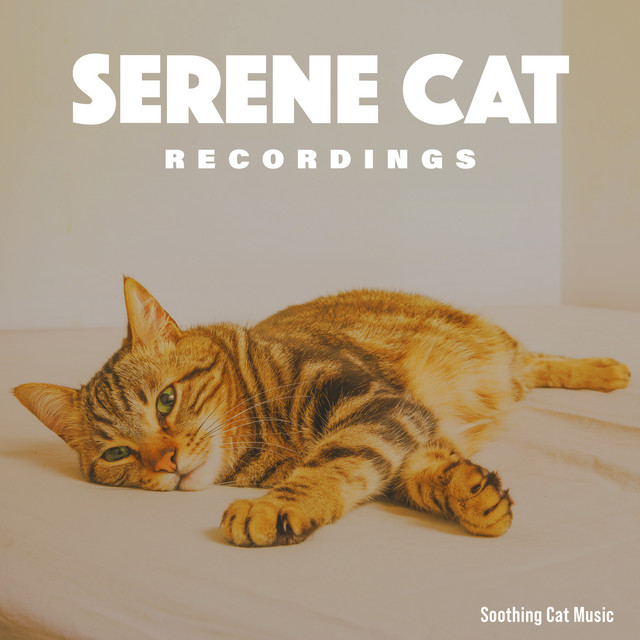 Serene Cat Recordings - Album by Soothing Cat Music | Spotify