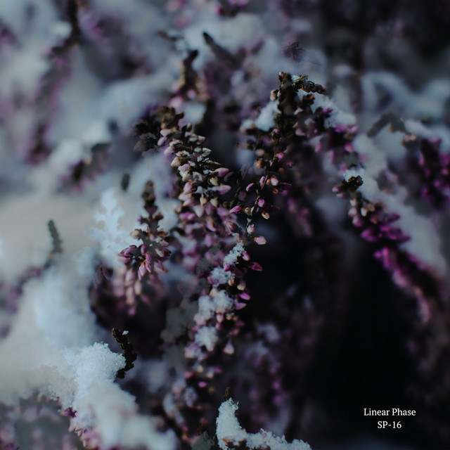 SP-16 album art