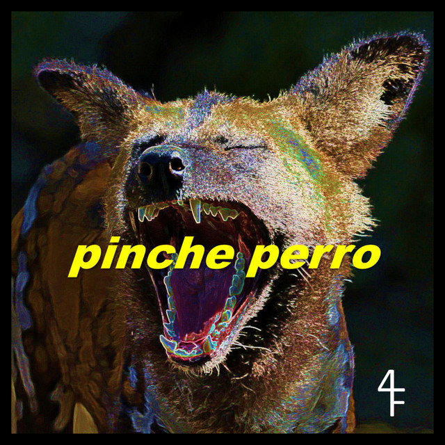 pinche perro