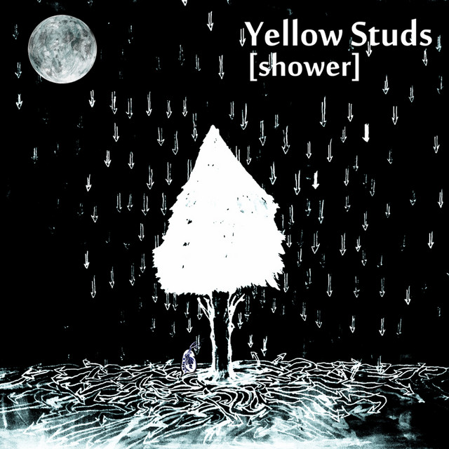Shower cover