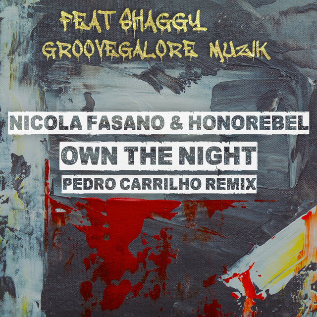Own The Night - Pedro Carrilho Remix album art