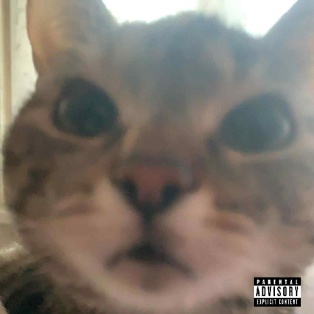 MIA cover art