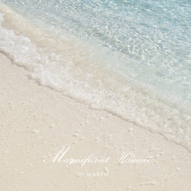 Magnificent Hawaii Vocal cover art