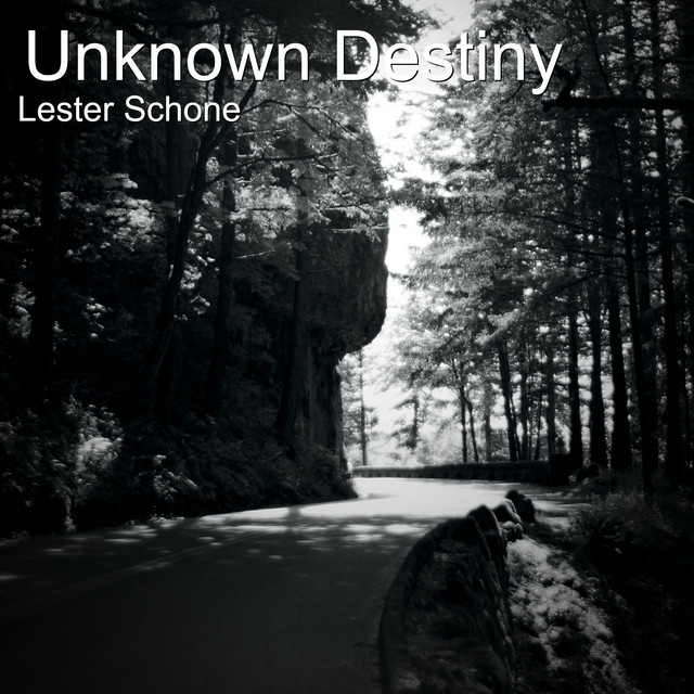 Unknown Destiny - Single by Lester Schone | Spotify