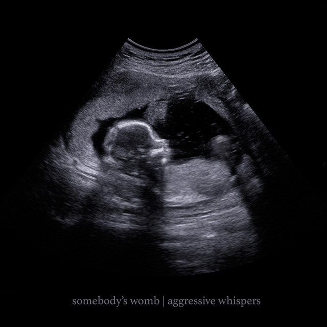 somebody's womb (single)
